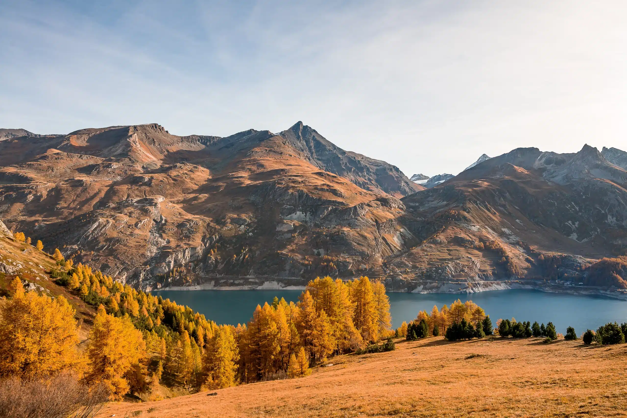 Arrivée Automne 2